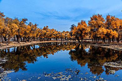 《GTA6》女性主角引争议 “粉丝”称过于正确